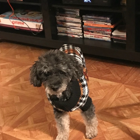 Profile Picture of Kimberly Grisson (@kimkimikimg) on Poshmark