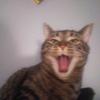 Profile Picture of Larry Clark (@@larryclark95) on Tiktok