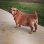 Profile Picture of Lilly Adkins (@lillyprincessgirl) on Instagram