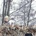 Profile Picture of Doug Carlson (@doug.carlson.7509) on Facebook