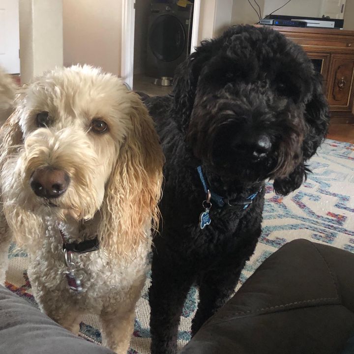 Profile Picture of Mark Honn (@@user205198202) on Tiktok