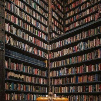 Jose Pavia - Twitter Profile Picture of Jose Pavia (@josepaviapavia) on Twitter