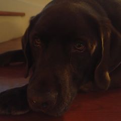 Profile Picture of Benjamin Savard (@benjaminsavard1) on Tiktok