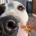 Profile Picture of Race Benally (@race.benally) on Facebook