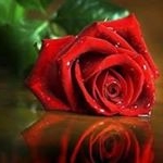 Profile Picture of Amir Hamza Shafique (@amirhamzashafique) on Instagram