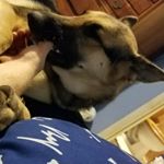 Profile Picture of Brian Bedwell (@bedwellbrian) on Instagram