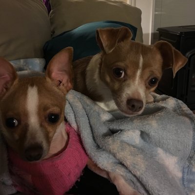 Profile Picture of Emerald Johnson (@EJ111885) on Twitter