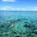 Profile Picture of Joanne Chew (@joannechew) on Pinterest