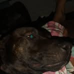 Profile Picture of Arran Hughes (@Arran-Hughes) on Facebook