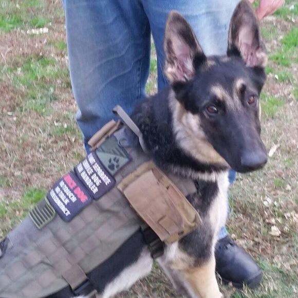 Profile Picture of Charles Franklin (@charlesfrank771) on Poshmark