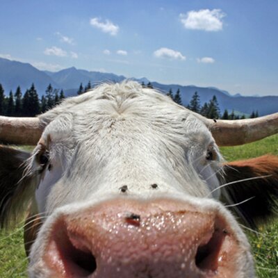Profile Picture of Dawn Tompkins (@DawnTompkins3) on Twitter