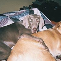 Profile Picture of Kim Bowser (@kim-bowser-5) on Quora