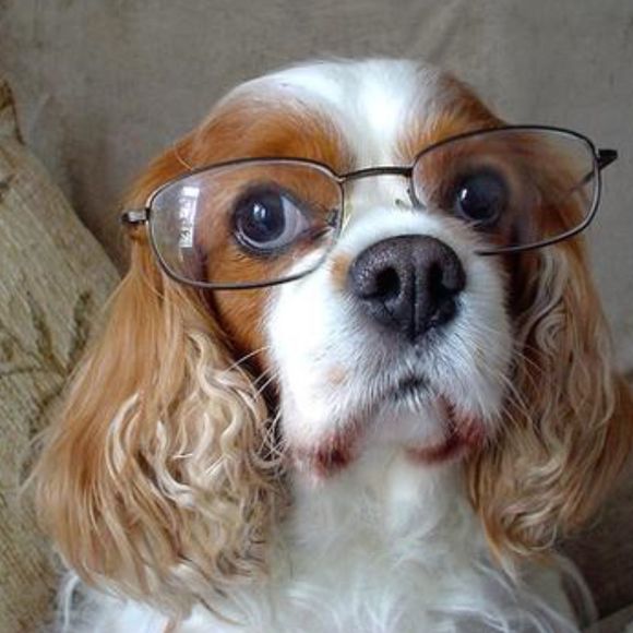 Profile Picture of Mattie Miller (@southbound86) on Poshmark