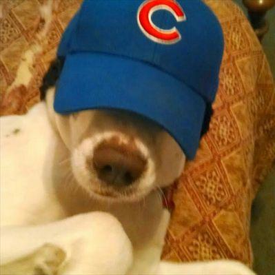 Profile Picture of Jerry Schubert (@SchubertJerry) on Twitter