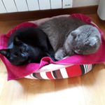 Francoise Maupain - Instagram Profile Picture of Francoise Maupain (@fanfanmomo37) on Instagram