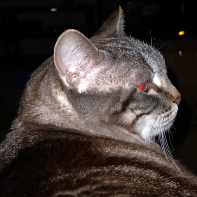 Profile Picture of Kevin Asberry (@asberry_kevin) on Twitter