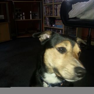 Profile Picture of Joyce Stead (@joyce.stead.92) on Facebook