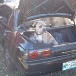 Profile Picture of Jeff Brackenridge (@jeff.mightymidget.brackenridge) on Instagram