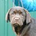 Profile Picture of Paula Jeffers (@blarneyhouse) on Pinterest