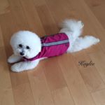 Profile Picture of Gregory Nelson Abbott (@officialgregorynelson_01) on Instagram