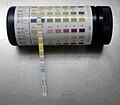 Profile Picture of Urine test strip - Wikipediaon Wikipedia
