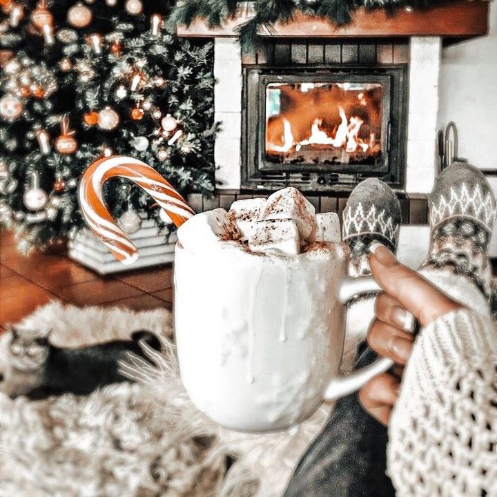 𝐜𝗼𝐫𝐢🦌 - Tiktok Profile Picture of 𝐜𝗼𝐫𝐢🦌 (@joyschristmass) on Tiktok