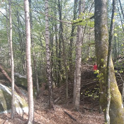 Skjelstad - Twitter Profile Picture of Skjelstad (@skjelstad) on Twitter