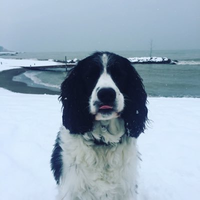 Profile Picture of Adam Irwin (@adamirwin1) on Twitter