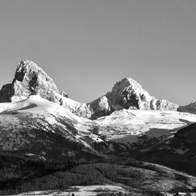 Profile Picture of JoAnn Rammell (@joannrammell) on Pinterest