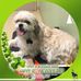 Profile Picture of Joyce Kelley Squires (@joyce.k.squires) on Facebook