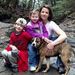 Profile Picture of Kim Glidden (@kimglidden) on Pinterest
