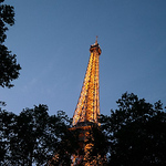 Profile Picture of Sevim Cure (@sevimcure) on Flickr