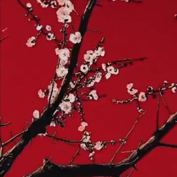 Profile Picture of Christian Burroughs (@chrisroc21) on Poshmark