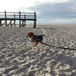 Profile Picture of Daniela Schmitz (@dani_schmitz1976) on Instagram