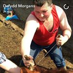 Profile Picture of Daniel Morgans (@t.d.morgans) on Instagram