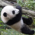 Profile Picture of David Tichnell (@david.tichnell) on Facebook