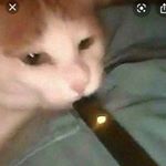 Profile Picture of Gillian Elise Greer (@edit_queen0003) on Instagram