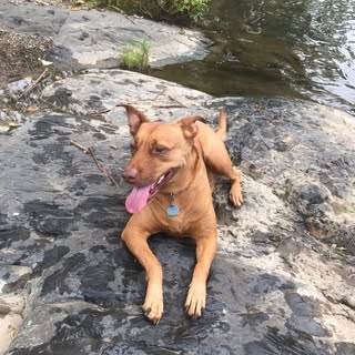 Profile Picture of Roxy Mcdaniel (@roxy.mcdaniel) on Instagram