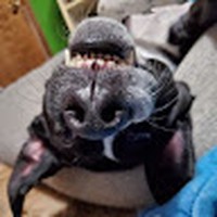 Profile Picture of Larry Spencer (@larry-spencer-87) on Quora