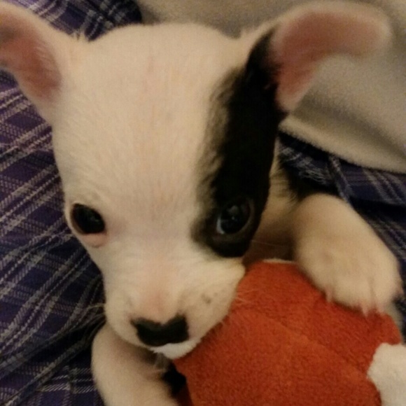 Profile Picture of Kayla Habig (@kaylamatree) on Poshmark