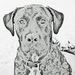 Profile Picture of Jacquelyn Rosado (@bentsbuds) on Pinterest