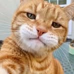 Profile Picture of Sampurna Umila (@sampurna.umila.3) on Facebook