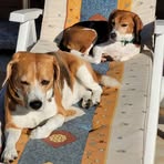 Profile Picture of Bernd Heckmann (@bernd.heckmann.9) on Facebook