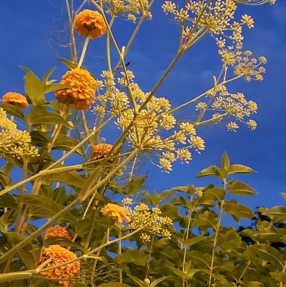 Profile Picture of Wendy Besterci (@yankeediva15) on Poshmark