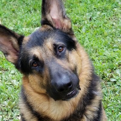 Profile Picture of Lisa Hendershot Rader (@LisaHendersho10) on Twitter