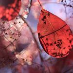 Profile Picture of Nilde Mossman (@nildemossman) on Instagram