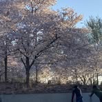 Profile Picture of Kaye Raye (@kaye.raye08) on Facebook