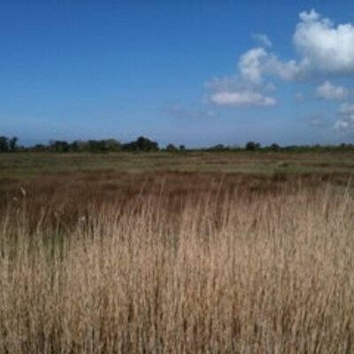 Profile Picture of Labbe Deborah (@LabbeDeborah) on Twitter