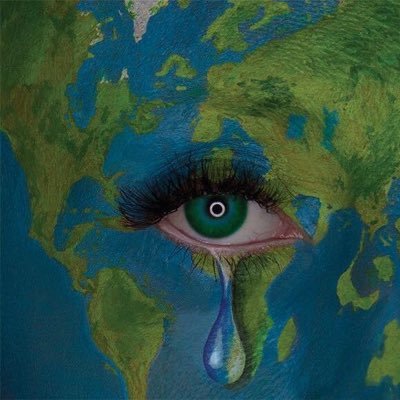 Profile Picture of Sylvia E MacLeod (@SylviaEMacLeod1) on Twitter