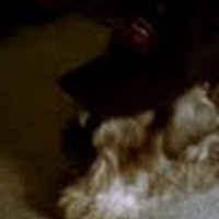 Profile Picture of Monte Gray (@monte-gray-2) on Quora